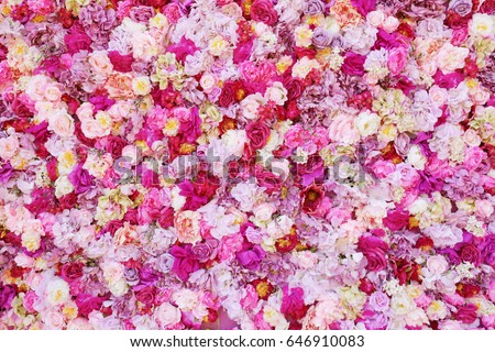Beautiful flowers as background Royalty-Free Stock Photo #646910083