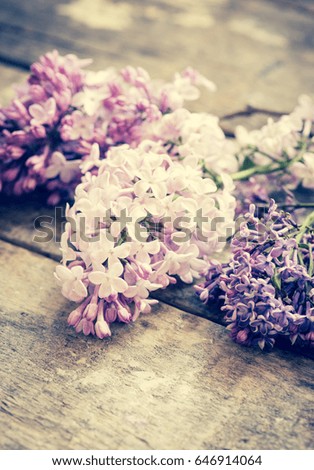 Lilac flowers on a wooden background/toned photo