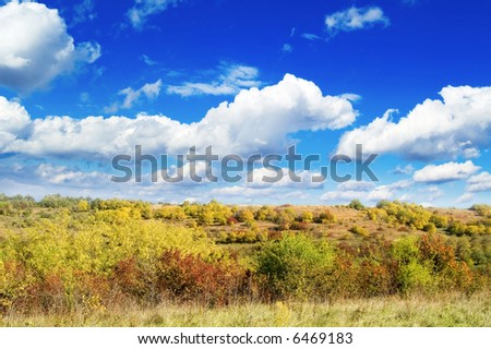 Autumn garden on background blue sky
