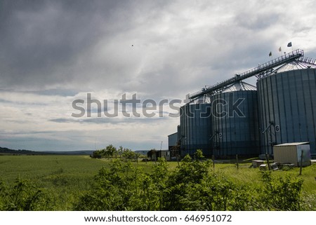 Silos on the field. Grain Storage Bins