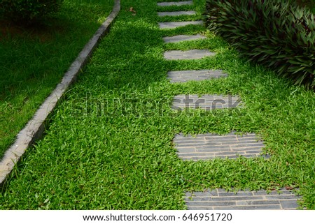 Pathway in the garden, forward stepping stones in the grass lawn. Using for the roadway to success, achievement, leadership, milestone, vision, and mission concept.