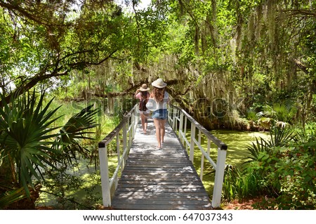 Girls walking  under oak tree branches  with spanish moss on romantic bridge . Magnolia Plantation and Gardens,Charleston ,South Carolina ,USA.