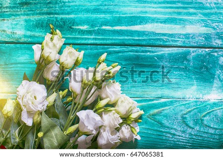 Beauty flowers and wooden background