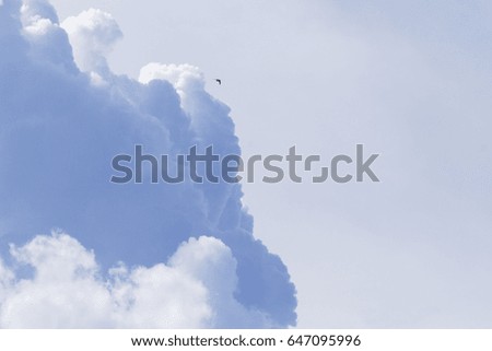Big cloud on empty sky. Cloudscape photo background. Idyllic skyscape with raincloud. Stormy cloud on sunny sky. Wet climate or weather. Tropical rain season. Heaven poster. Fluffy cotton cloud in air