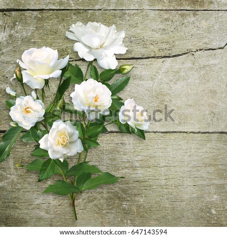 Bouquet of white roses on an old rough wooden background