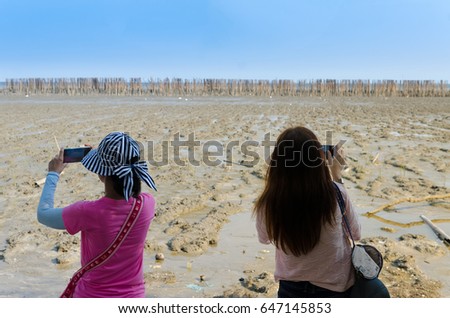 two beautiful girl tourists are taking pictures of the mangrove forest area