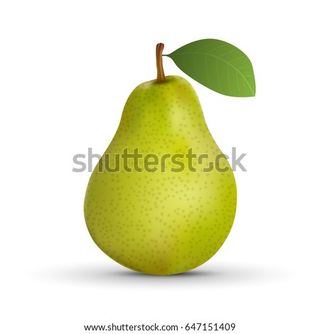 realistic green pear isolated on white background. Vector illustration. Royalty-Free Stock Photo #647151409