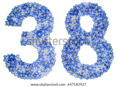 Arabic numeral 38, thirty eight, from blue forget-me-not flowers, isolated on white background