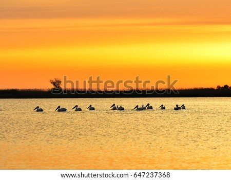 Amazing sunrise in nature reservation of Danube delta, Romania
