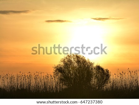 Amazing sunrise in nature reservation of Danube delta, Romania