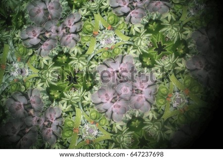 Green Plant Kaleidoscope 