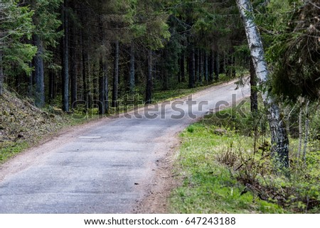 country gravel road in perspective in summer forest with trees and grass