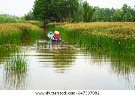 Mekong delta landscape with Vietnamese woman rowing boat on Nang - type of rush tree field, South Vietnam