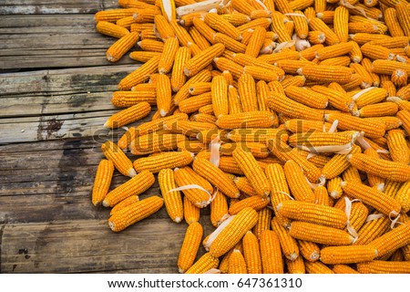 Yellow corn wooden background, abstract backgrounds