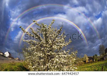 A tender evening in apple-tree pear trees, Ukraine. Bike tour before the beginning of a storm on the European villages. Clouds over the picturesque area gather before the storm