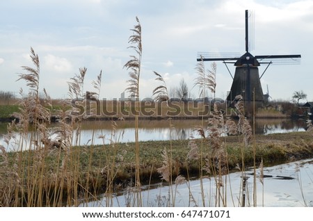 Isolated historical windmill on the river bank with rushes in front of the photo. Typical Dutch autumn scenery with cloudy sky. An UNESCO World heritage site. Dramatic scenery.