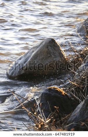 water splashes at rocky shore, golden sunlight
