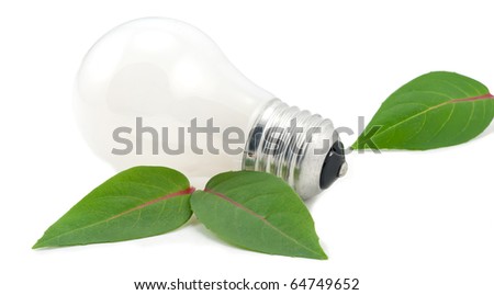 Studio shot of light bulb next to the green leafs on white background.