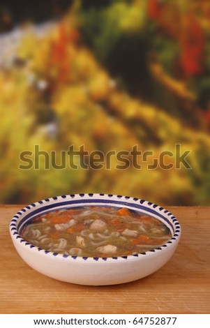 chicken noodle soup with carrot and onion