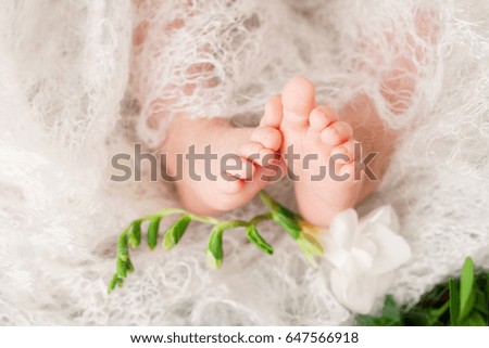 Close up picture of new born baby feet on knitted plaid and flowers