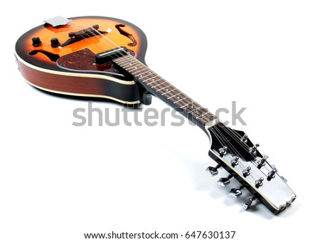 Mandolin in country style on white background