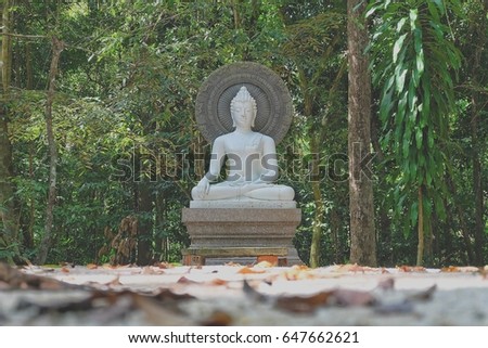 White Buddha located in the jungle.
