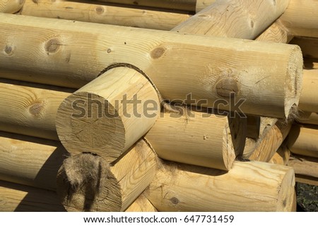 Round logs of beige color are laid in a corner of a log