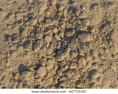 On the surface of the sand after rain.
