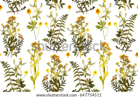 Seamless floral pattern with plants on a white background. Background image.