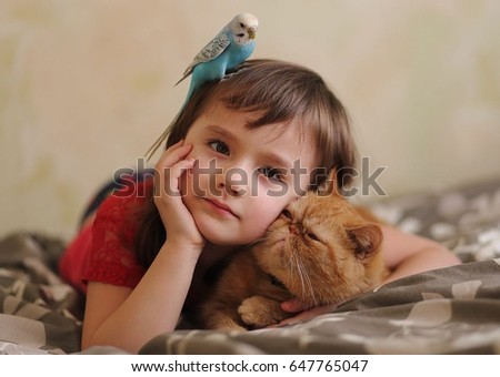 Child with a cat and a parrot Royalty-Free Stock Photo #647765047