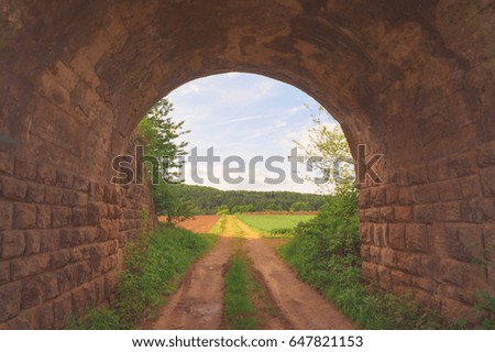 Tunnel overlooking the field