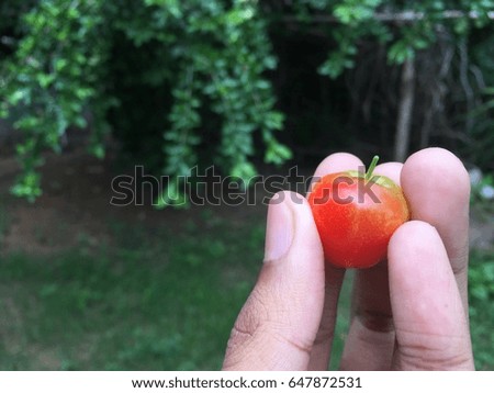 Cherry red
