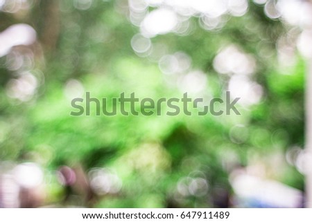 Blurry green backgrounds.