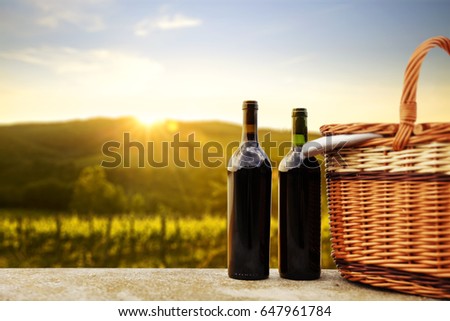 picnic basket and summer day 