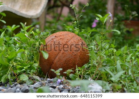 Old basket ball in grass