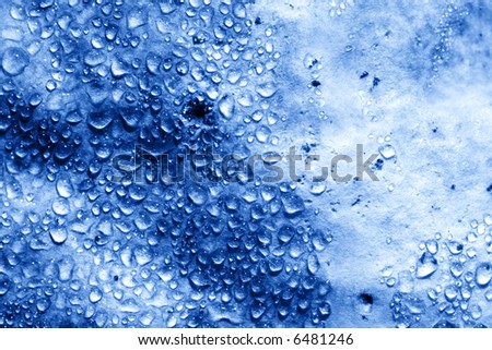 Dew drops - high contrast