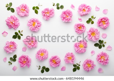 Frame of pink damask roses and green leaves on white background. Flat lay, top view.