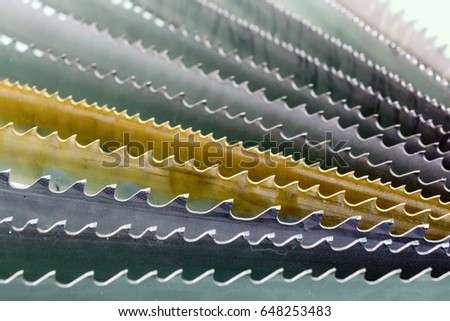 Band saw blade. Fan arrangement, macro. Abstract industrial background Royalty-Free Stock Photo #648253483
