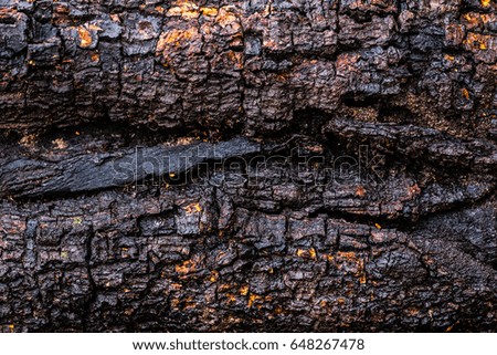 Stock photo Image of Wood scorched by fire