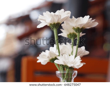 White chrysanthemum flower in glass vase, blur bokeh background
