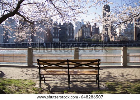 Bench with the view of Manhattan 