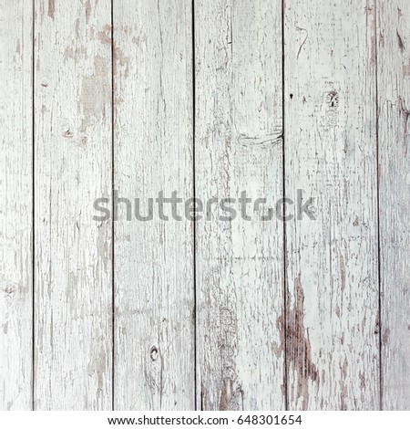 White Wood Texture. Light Wooden Background. Old Washed Wood.