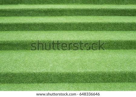 Conceptual image of Green grass staircase with like green plant