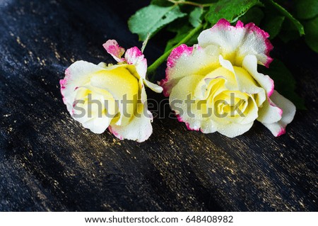 Summer frame with roses on dark wooden background