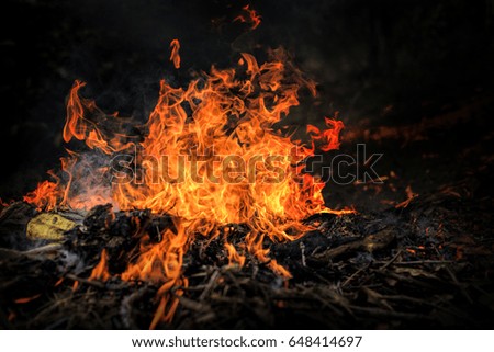 Close up of fire flames, selective focus.  