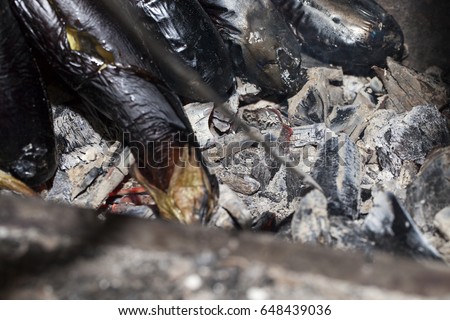   black eggplant lying inside the grill, ready for cooking. Photo closeup in dark colors, a small depth of field