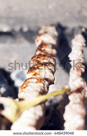  meat on skewers lying inside the grill, ready for cooking. Photo close-up, small depth of field