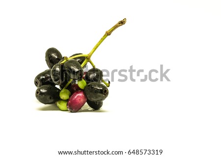 Jambolan plum, Java plum, Jambul fruit white isolated background.