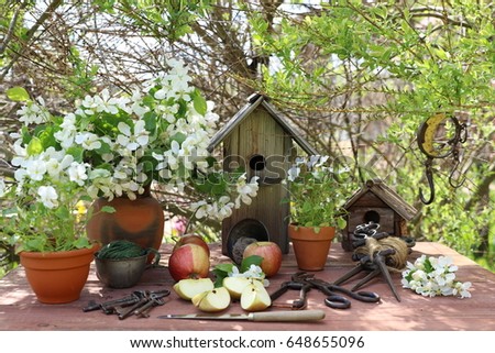 Garden composition with white pansies in ceramic pot, blossoming apple branches in clay vase, old bird house, rustic funnel with twine, bunch of keys, gardening tools, scissors, vintage secateurs, day