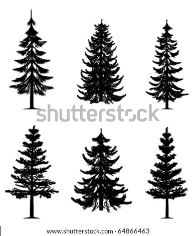 Pine trees collection (vector)